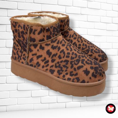 Botines esquimal animal print SINSAY T38