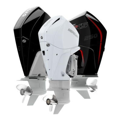 V6 or V8 Outboard 4 Stroke