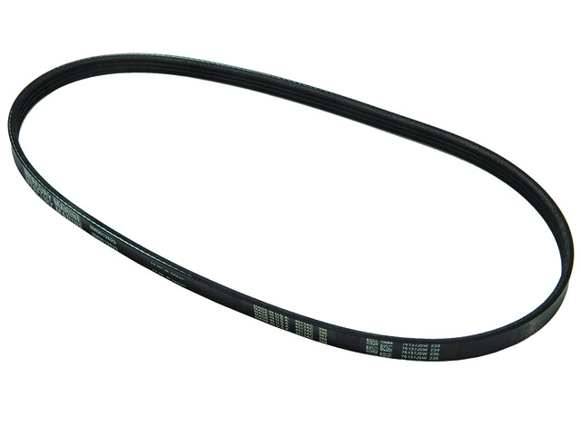Alternator Belt 1.5L Optimax