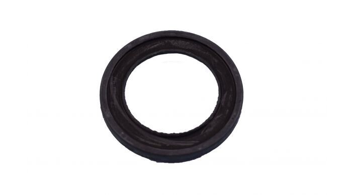 Thermostat seal