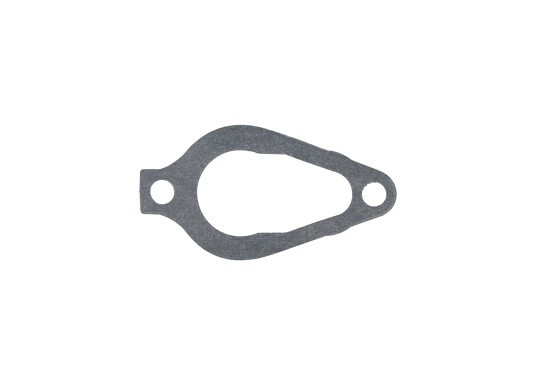 Gasket thermostat