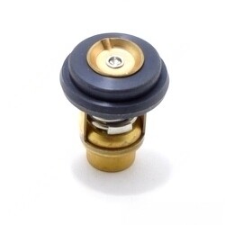 Mercury outboard thermostat