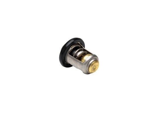 Mercury outboard thermostat