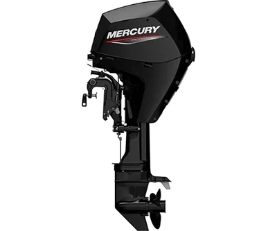 25 &amp; 30 HP EFI 4 stroke (0R106999 to 1R154758)