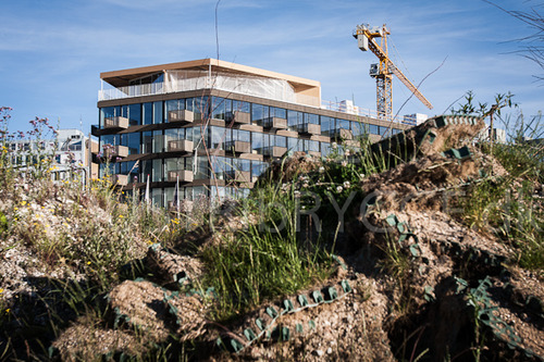 A-Huset 2008