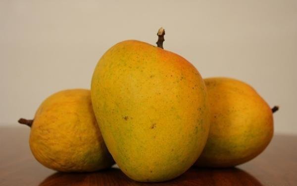 Devgad Alphonso Mango