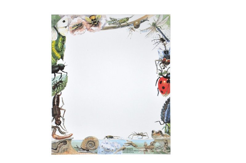 Natural History Mini Beasts