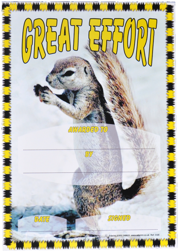 Great Effort Cerfificate