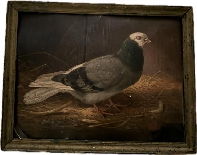 Pigeon Painting