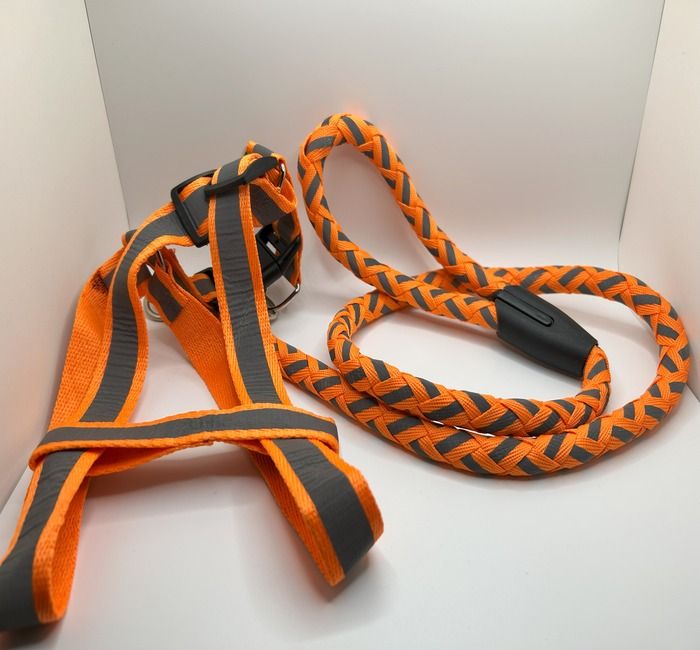 Dog Leash and Harness, Durable, Reflective Dog Leash For Small to Medium dogs 5 assorted colors Dog Leash and Harness, Durable, Reflective Dog Leash For Small to Medium dogs 5 assorted colors