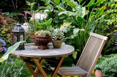 Garden &amp; Outdoor
