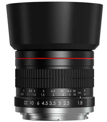 EF 85mm F1.8 Portrait Lens - Medium Telephoto Manual Focus SLR Cameras Lens for Canon EOS Rebel T Series (T8i/T7i/T7/T6/T3i/T2i/4000D/850D/SL3/SL2) &amp; High-End DSLRs (6D Mark II/5D Mark IV/90D/80D/77D)
