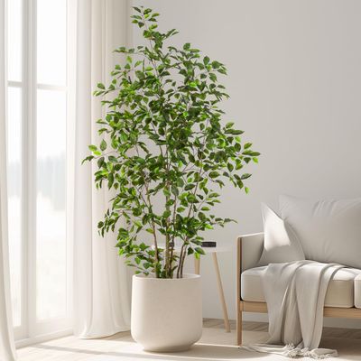 6ft Artificial Ficus Tree-Artificial Plants Indoor,Faux Tree,Tall Fake Plants Indoor Fake Tree Artificial Trees for Home Decor Indoor,Living Room Corner Decor