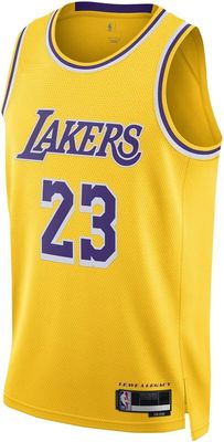 Lebron James Los Angeles Lakers NBA Kids Youth 8-20 Yellow Gold Icon Edition Swingman Jersey