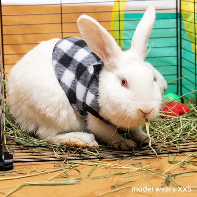 Rabbit Clothes - Christmas Plaid Warm Pet Colthes for Guinea Pig Bunny Ferret Chinchilla Kitten MiniDogs - Cute Bow Tie Guinea Pig Costume for Winter Fall