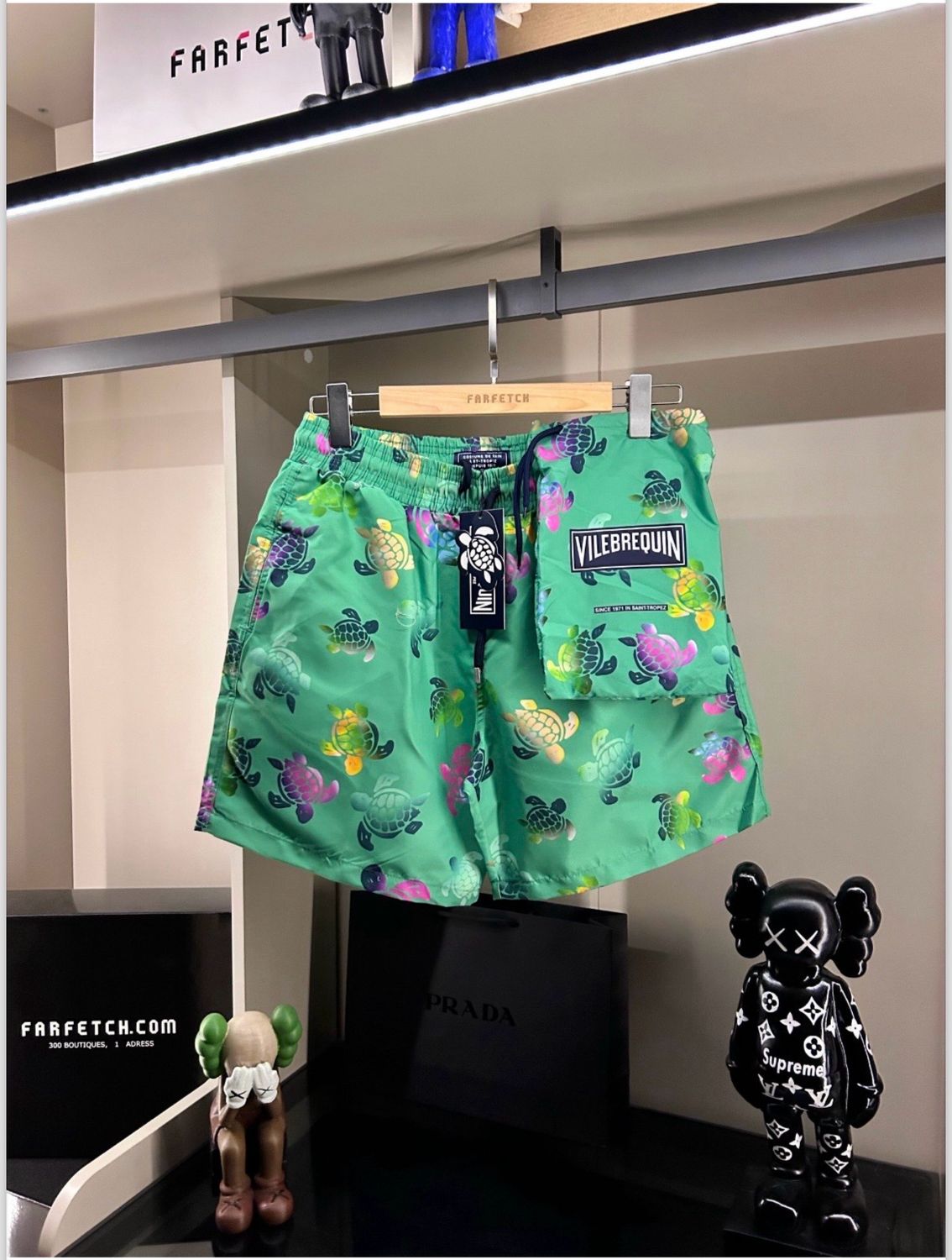 Turtle 🐢 Shorts