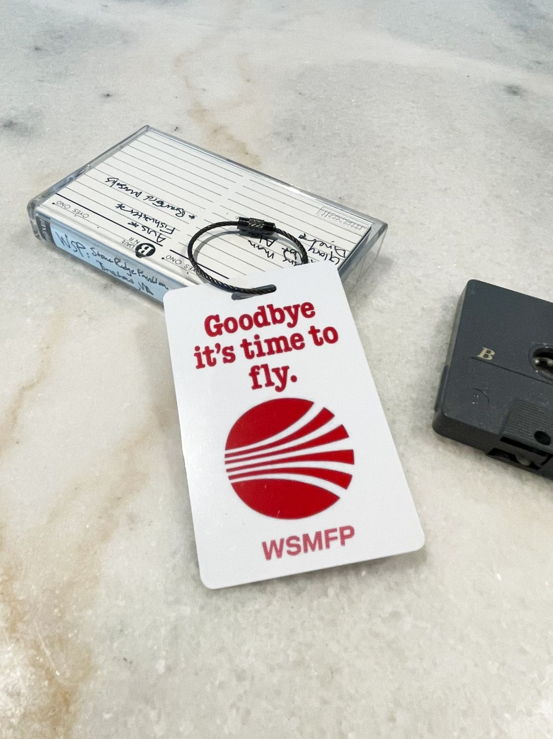 Goodbye, It's Time to Fly Luggage Tag