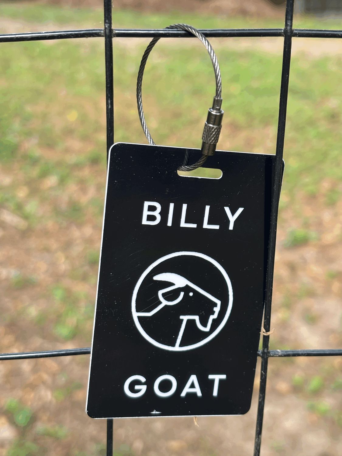 BS_BILLYGOAT