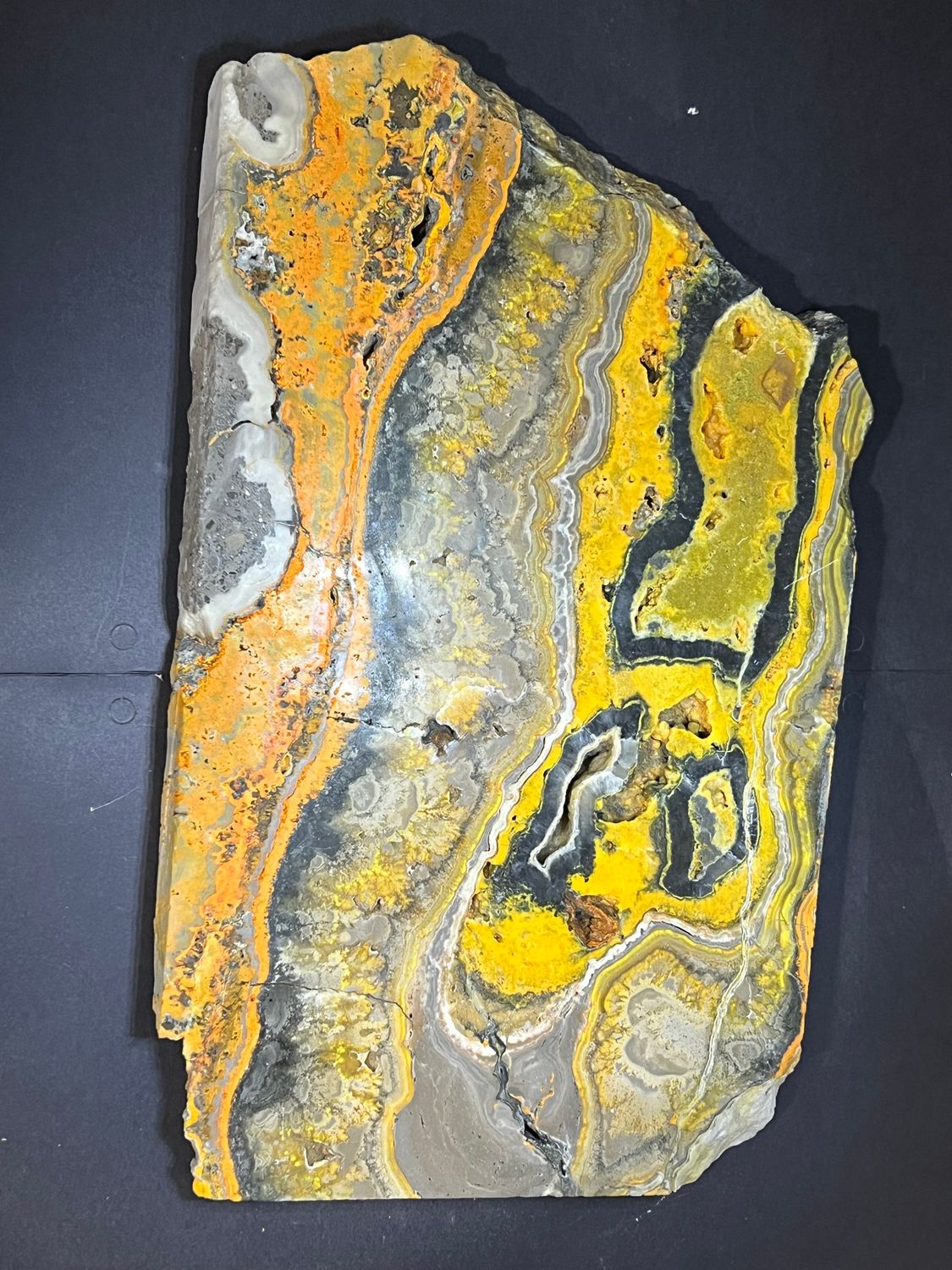 Bumblebee Jasper slab