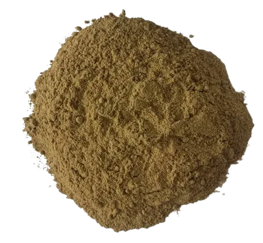 Buy Royal Fly Agaric powder (Amanita Regalis) in Switzerland
