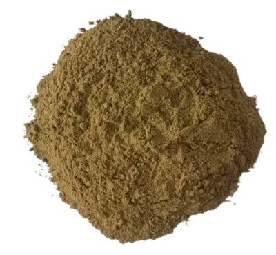 Buy Royal Fly Agaric powder (Amanita Regalis) in Switzerland