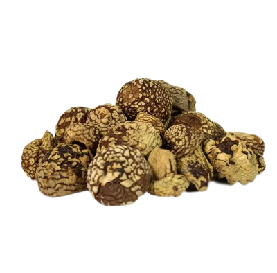 Buy Royal Fly Agaric caps (Amanita Regalis) in Switzerland