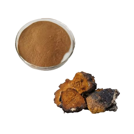 Wild-harvested Chaga Mushroom Powder 100 g in Switzerland +++ Premium Quality +++