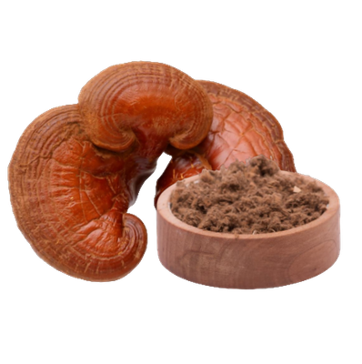 Reishi Extrakt (60 Kapseln x 400mg)