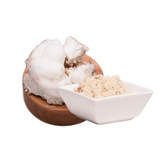 Natürliche Nahrungsergänzung: Lion’s Mane Kapseln für Fokus, Gedächtnis &amp; Immunsystem