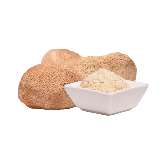 Lion’s Mane Kapseln – hochkonzentriertes 10:1 Extrakt mit 50 % Polysacchariden. Fördert Gedächtnis, Fokus, Immunsystem &amp; Darm