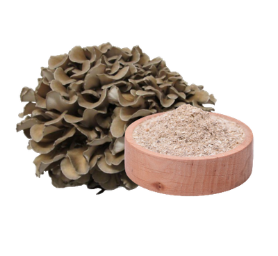 Tägliche Einnahme von Maitake Pilz Extrakt Kapseln zur natürlichen Unterstützung der Gesundheit und Vitalität