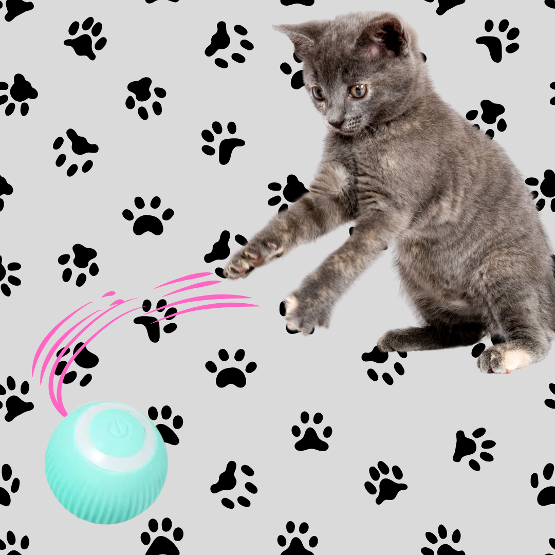 Whisker Chase Rolling Ball