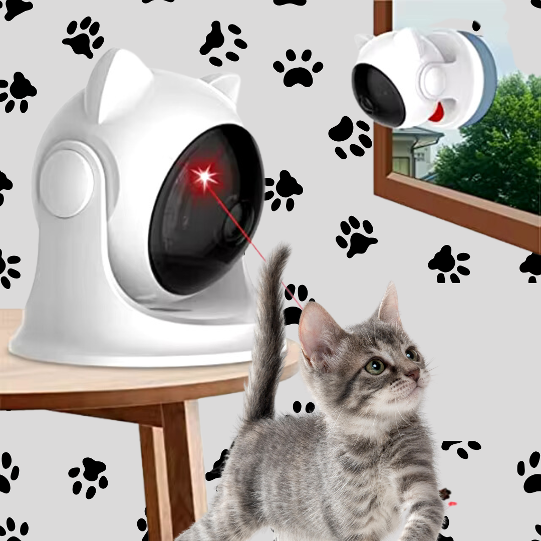 Paws Pursuit Auto Laser