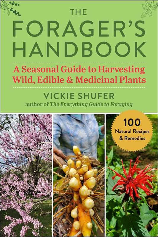 Forager&#39;s Handbook by Vickie Shufer