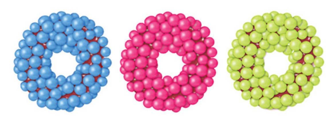 Cosmic Gummy Rings  “Sour” 1/3LB Flaire Bag