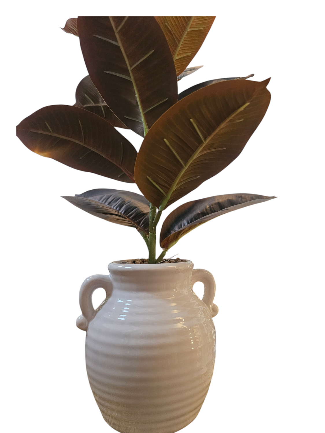 FICUS PLANT BURGUNDY ARTIFICIAL