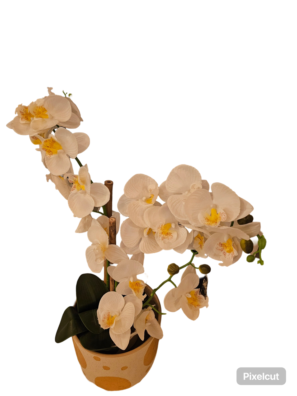 ARTIFICIAL ORCHID
