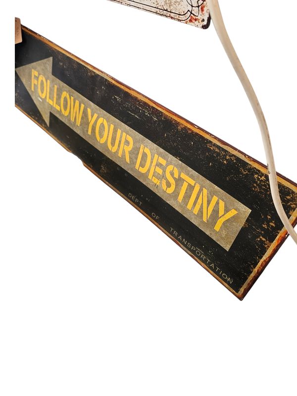 FOLLOW YOUR DESTINY