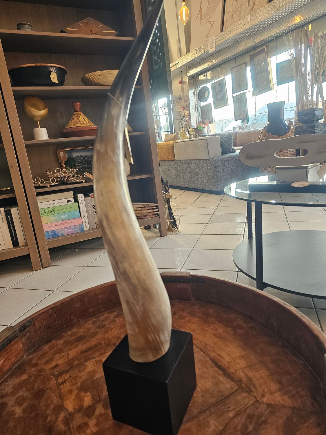 POLISHED BULL HORN (SOUTH AFRICA)