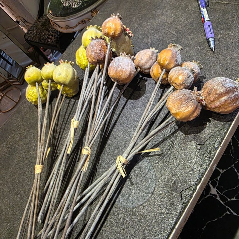 ARTIFICIAL DRIED POPPY PODS
