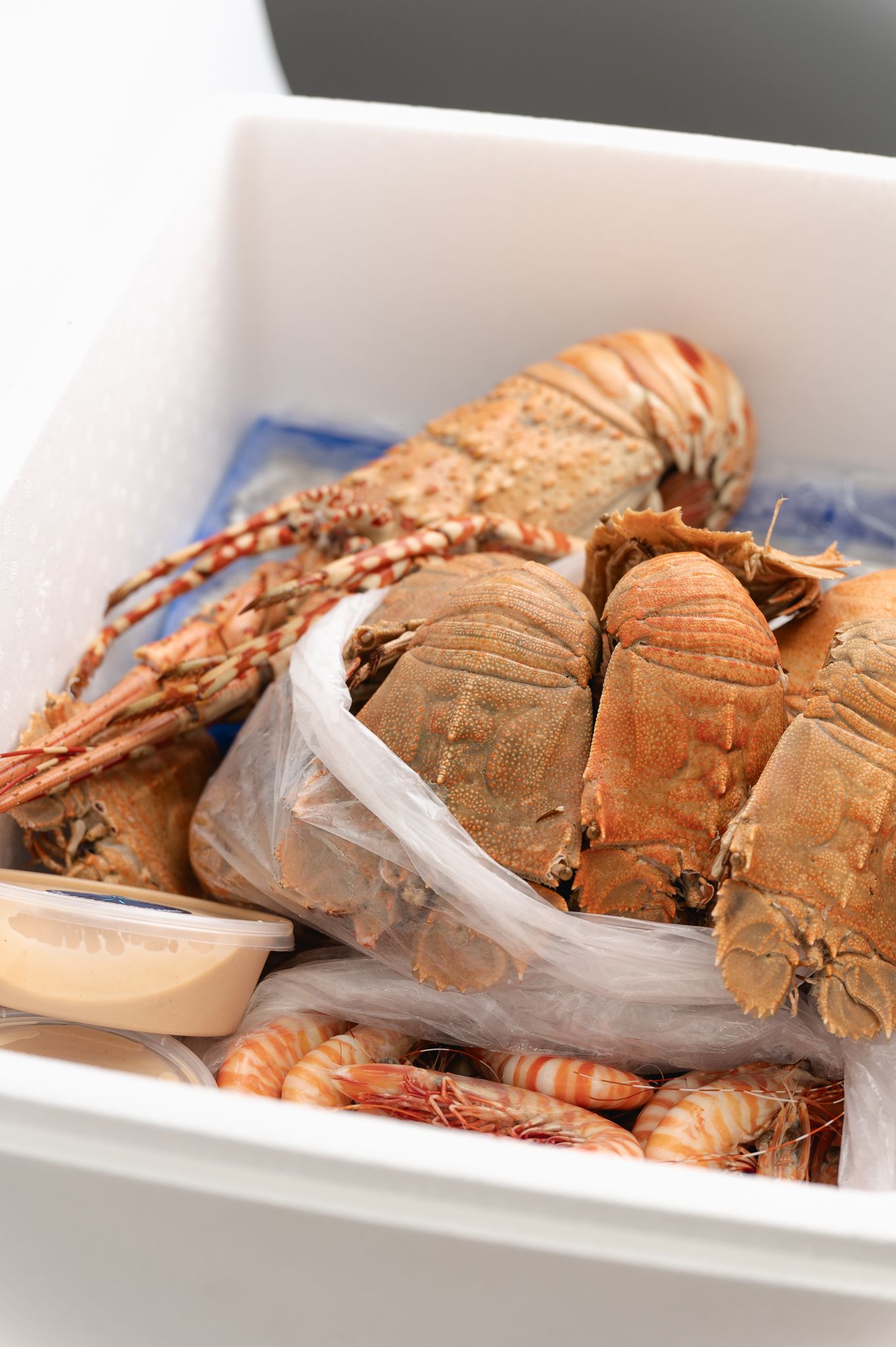 Family's Feast Esky Family's Feast Esky