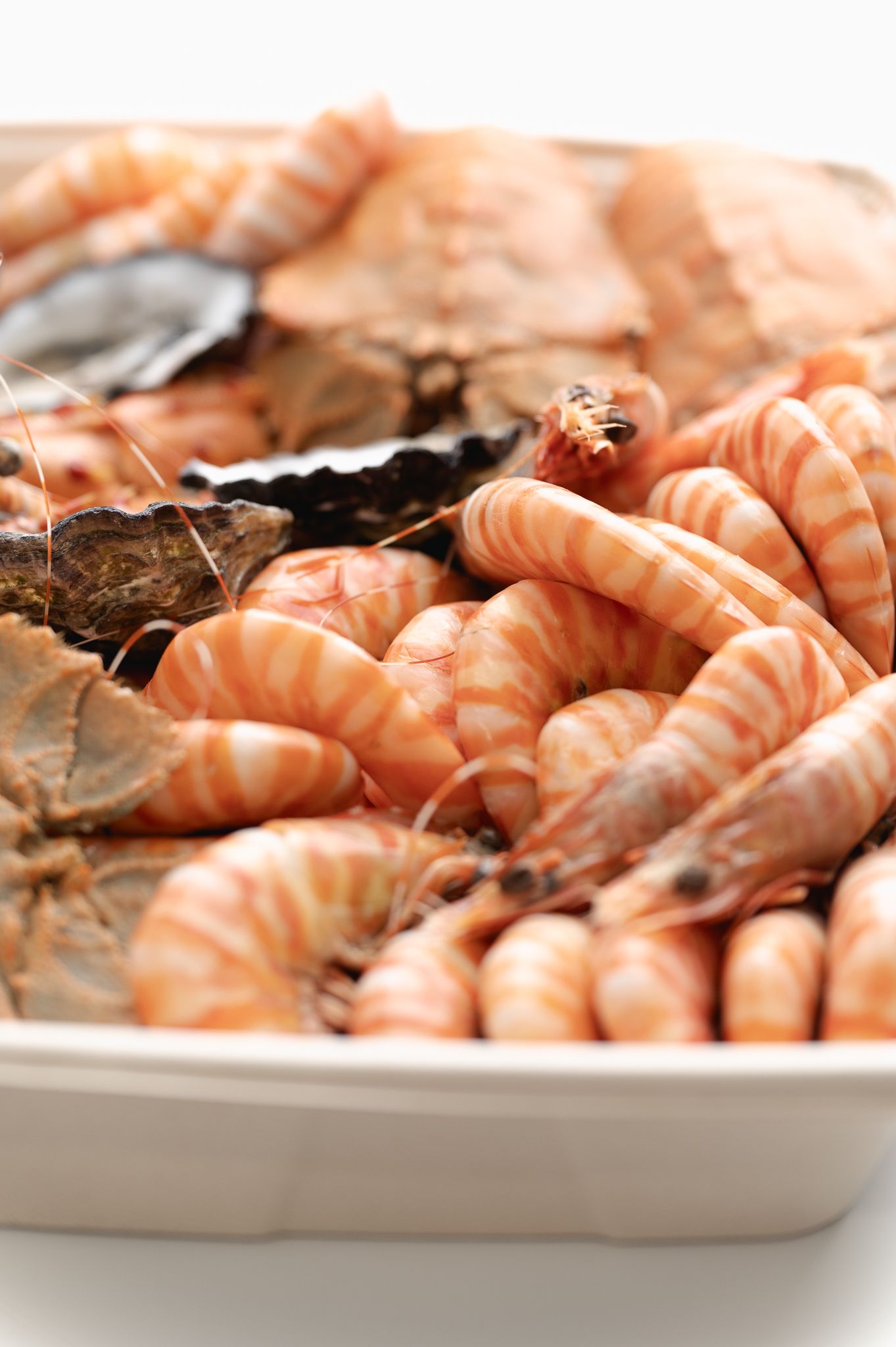 $140 Large Seafood Platter