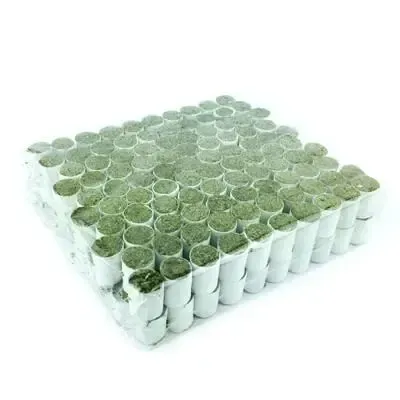 Light Smoke Mini-Needle Moxa