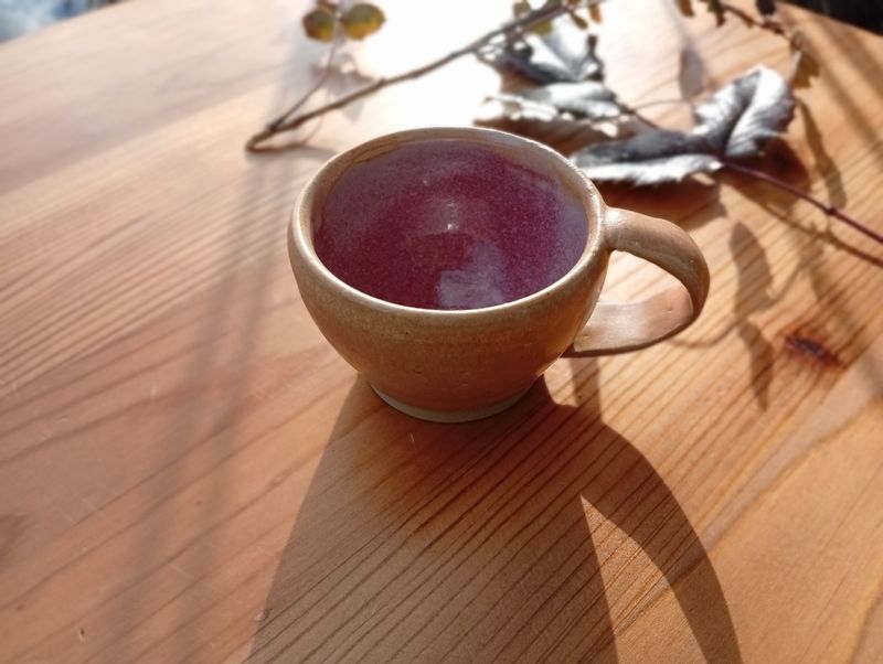 Tasse ansée Tropique - Orange Rose