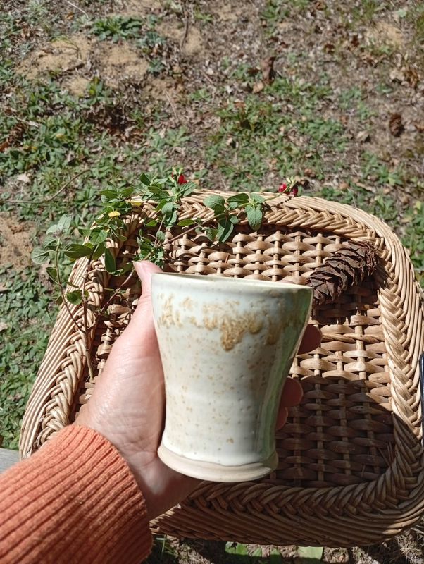 Chocolette Foison - Crème Sable