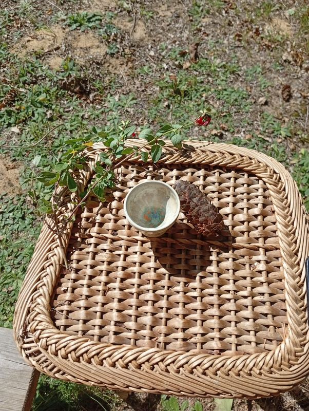 Godet Tropique - Crème à inclusions multicolores