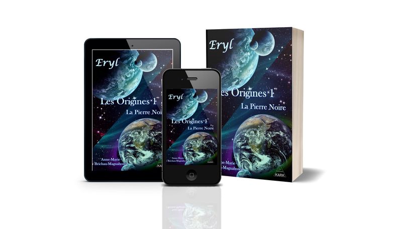 Eryl les Origines 1 : La Pierre Noire