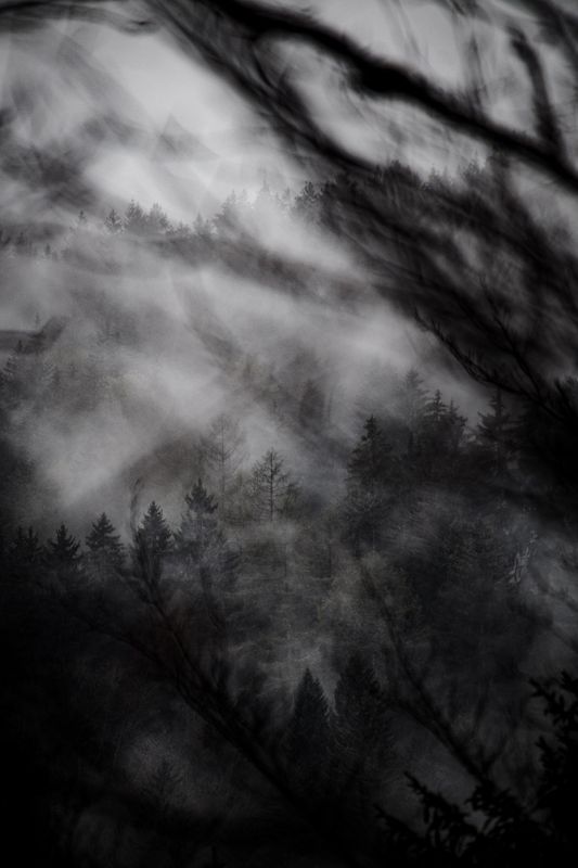 Verzweigt by Katrin Markstein