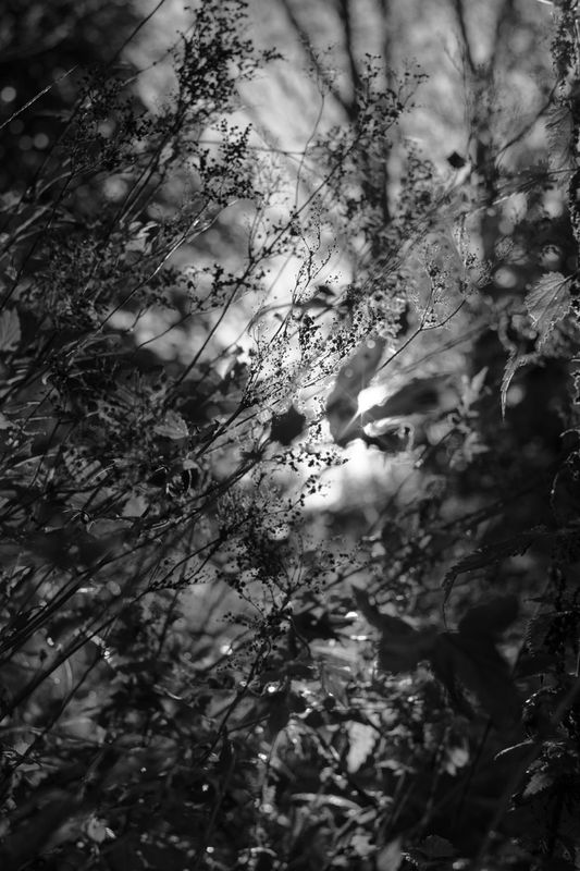 Monochrom by Katrin Markstein