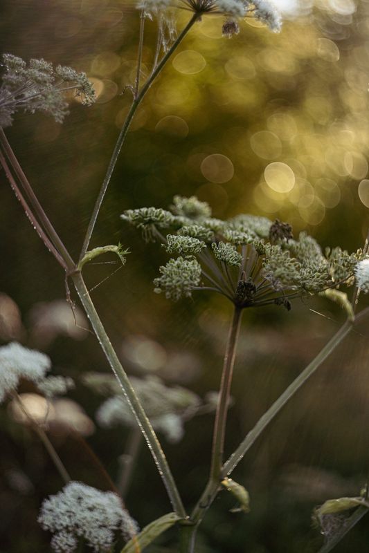 Lichtspiel by Katrin Markstein